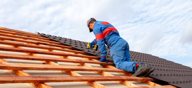 Best Roof Moss and Algae Removal  in Fabens, TX
